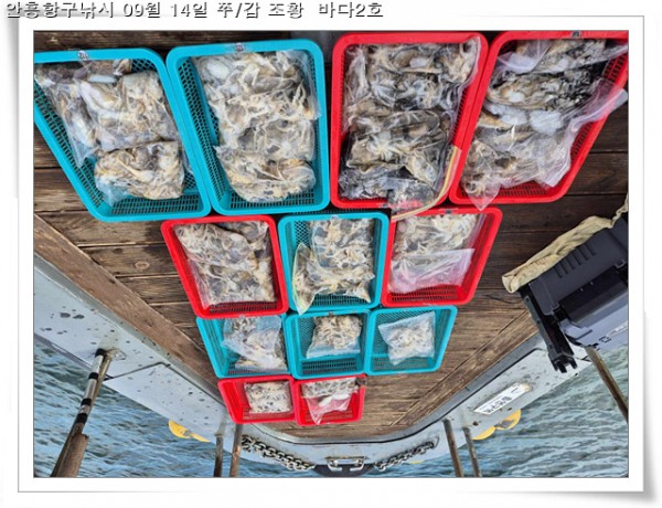 3611036826ead24826b5804088f7eab4_1757872