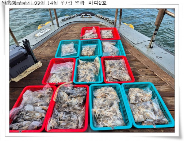 3611036826ead24826b5804088f7eab4_1757872