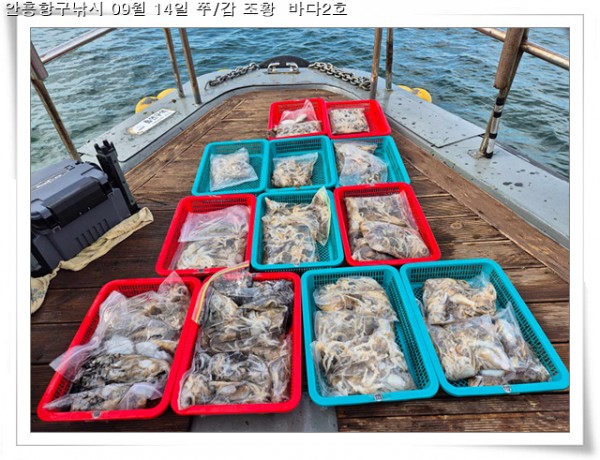 3611036826ead24826b5804088f7eab4_1757872