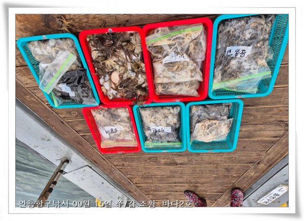 3611036826ead24826b5804088f7eab4_1757957