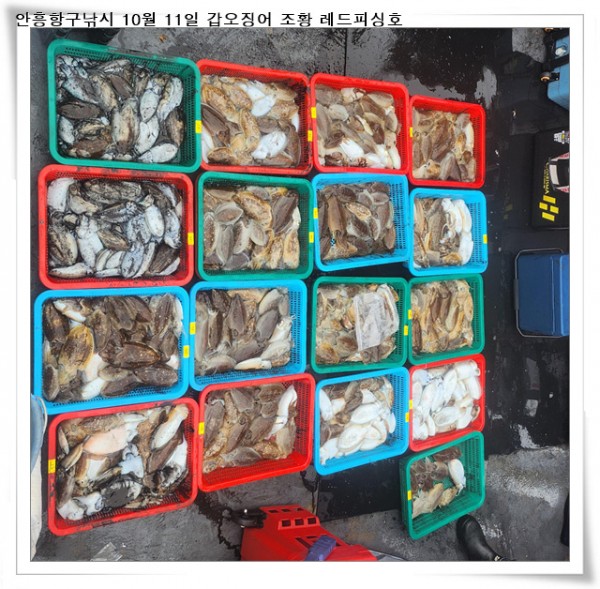 0379923035e021298a7b766a0104711a_1760186