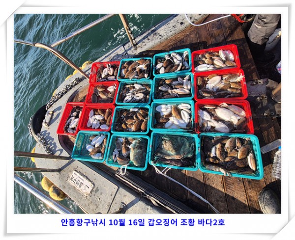 0379923035e021298a7b766a0104711a_1760604