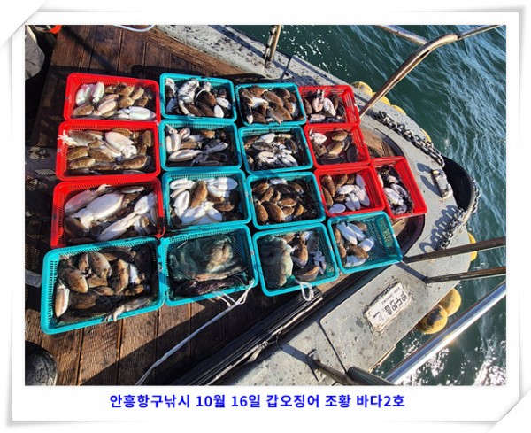 0379923035e021298a7b766a0104711a_1760604