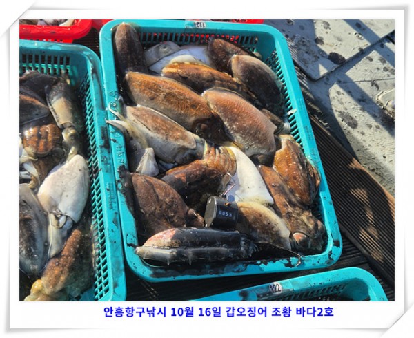 0379923035e021298a7b766a0104711a_1760604