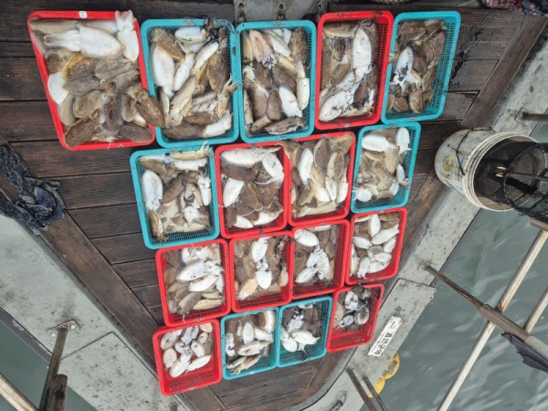 0379923035e021298a7b766a0104711a_1760847