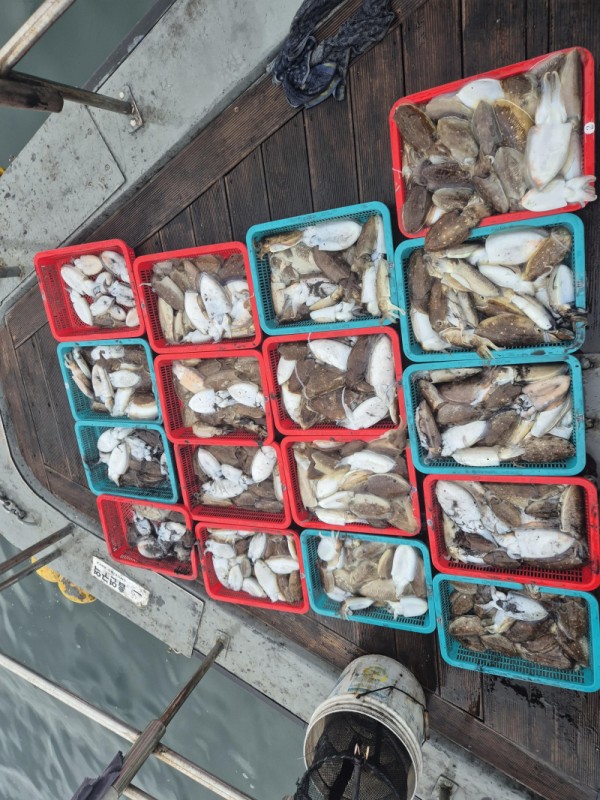 0379923035e021298a7b766a0104711a_1760847