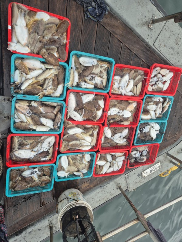 0379923035e021298a7b766a0104711a_1760847