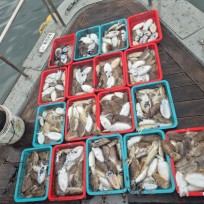 10월 17일 바다2호 갑오징어 조황