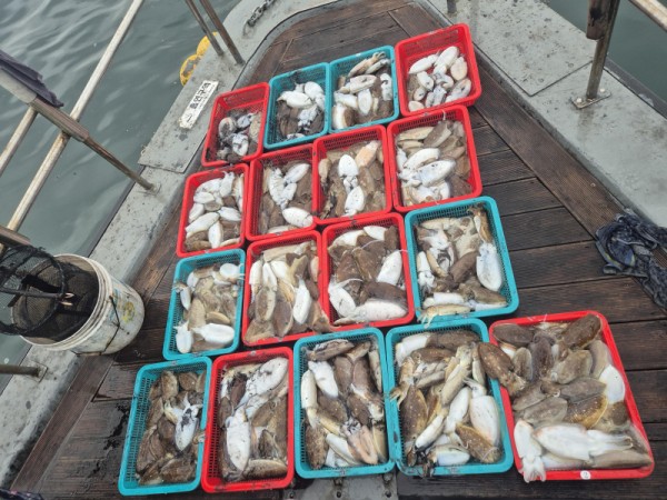 0379923035e021298a7b766a0104711a_1760847