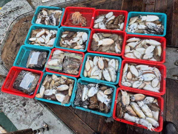 5d3ec2159e64855c056d7ea4068f92a0_1761011