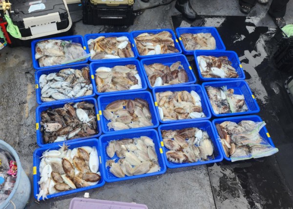 5d3ec2159e64855c056d7ea4068f92a0_1761245