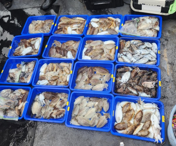 5d3ec2159e64855c056d7ea4068f92a0_1761245