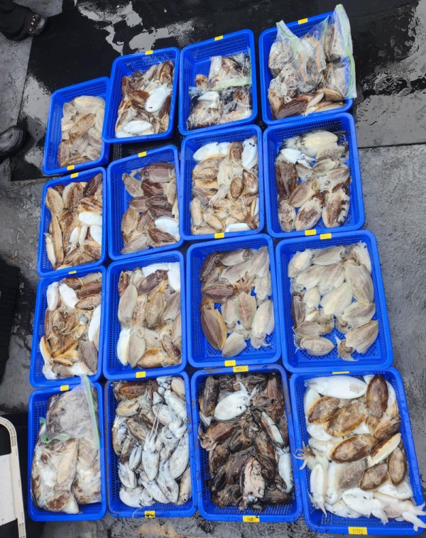 5d3ec2159e64855c056d7ea4068f92a0_1761245