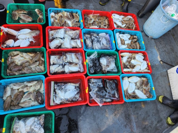 5d3ec2159e64855c056d7ea4068f92a0_1761245