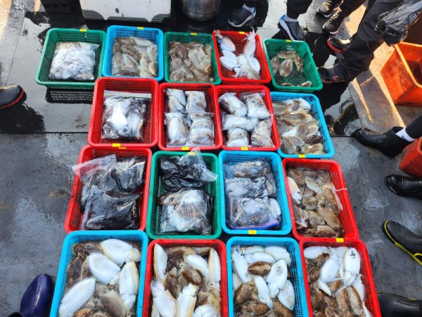 5d3ec2159e64855c056d7ea4068f92a0_1761245