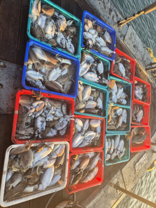 67a6e7c48b3fb37cc9c80cf19d66af15_1761677