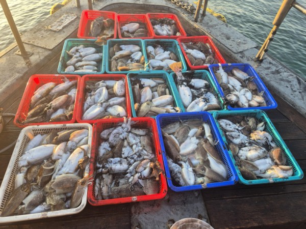 67a6e7c48b3fb37cc9c80cf19d66af15_1761677