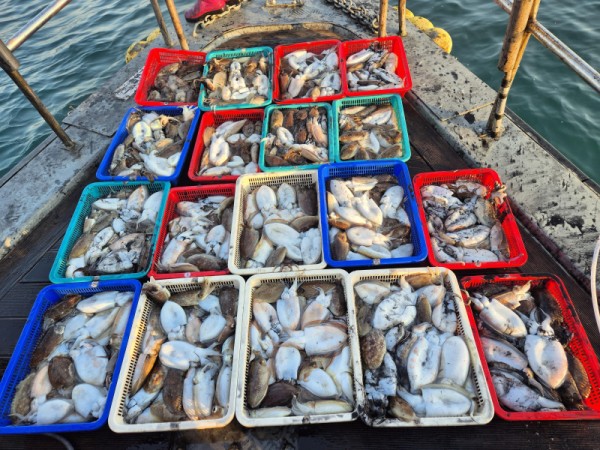 67a6e7c48b3fb37cc9c80cf19d66af15_1761758