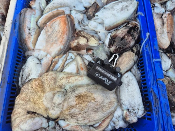 67a6e7c48b3fb37cc9c80cf19d66af15_1761846