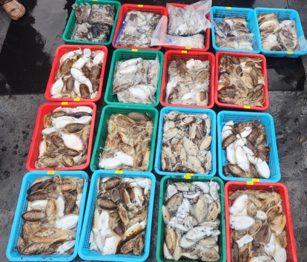 896d9aa3cd2b232d8d7360a9a5be9f78_1760009