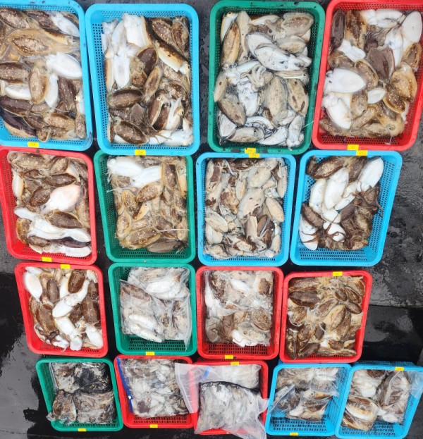 896d9aa3cd2b232d8d7360a9a5be9f78_1760009