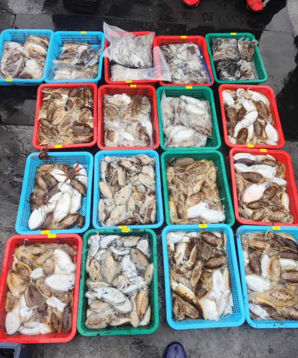 896d9aa3cd2b232d8d7360a9a5be9f78_1760009