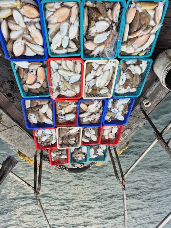 67a6e7c48b3fb37cc9c80cf19d66af15_1761975