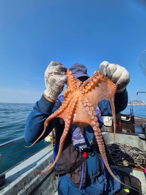 67a6e7c48b3fb37cc9c80cf19d66af15_1761975