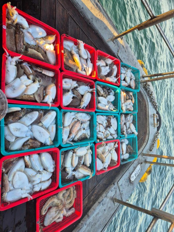 8a04af9542fdd826a282414bd905c883_1763006