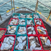 11월 12일 바다2호 갑오징어 조황