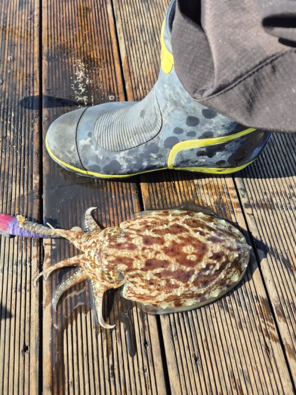 8a04af9542fdd826a282414bd905c883_1763006