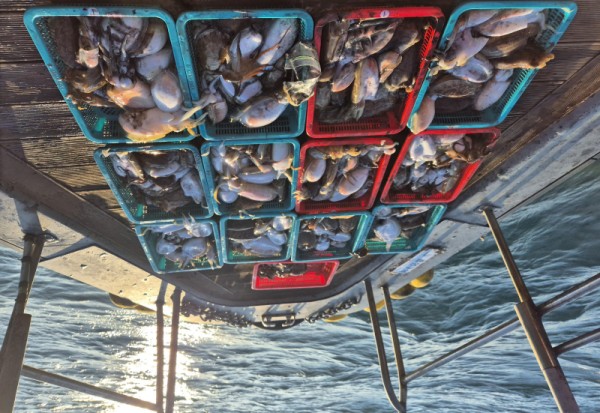 8a04af9542fdd826a282414bd905c883_1763265