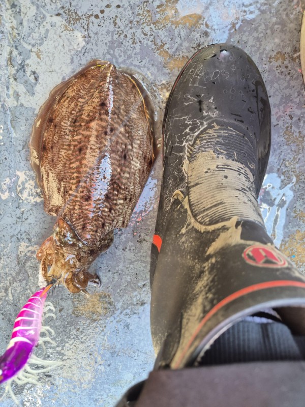 8a04af9542fdd826a282414bd905c883_1763265