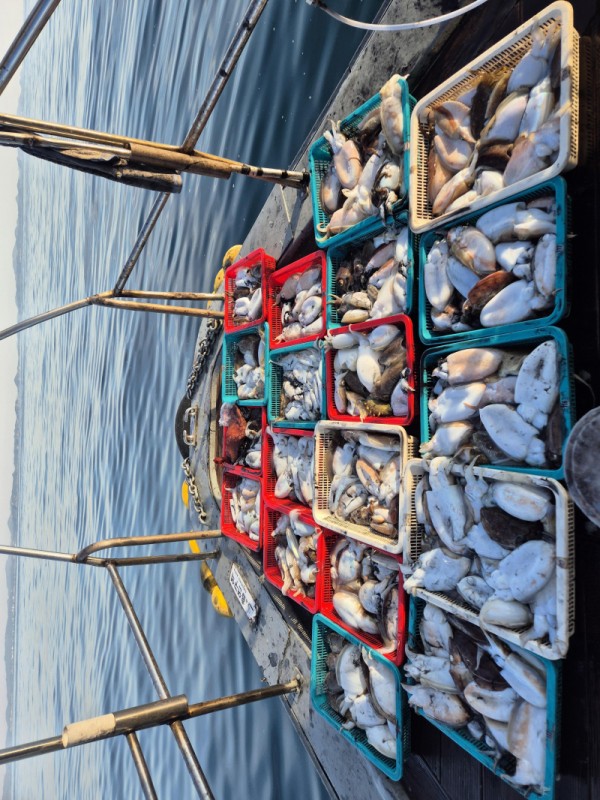 8a04af9542fdd826a282414bd905c883_1763265