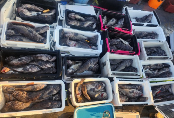 8a04af9542fdd826a282414bd905c883_1763265