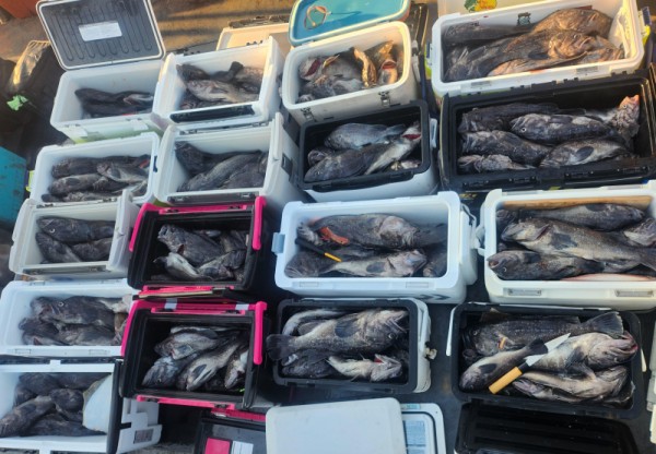 8a04af9542fdd826a282414bd905c883_1763265