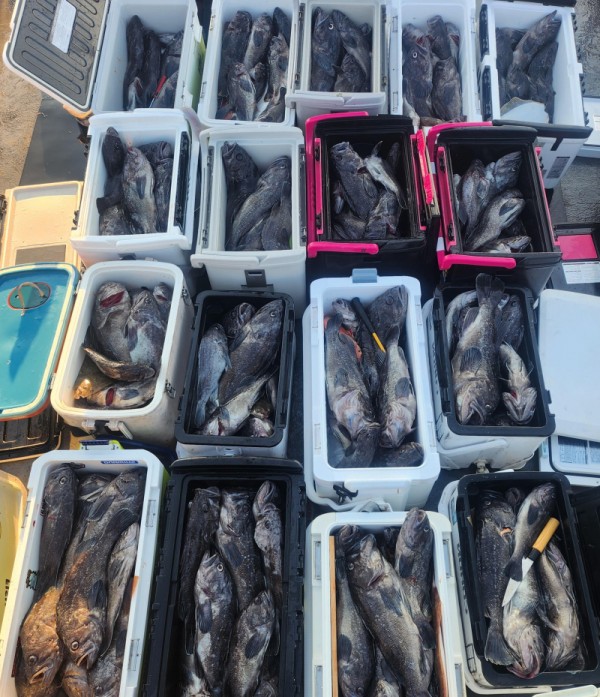 8a04af9542fdd826a282414bd905c883_1763265