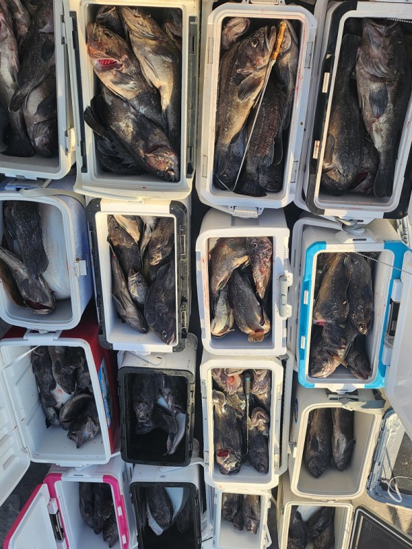 8a04af9542fdd826a282414bd905c883_1763265