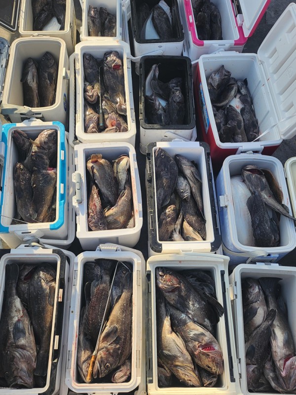 8a04af9542fdd826a282414bd905c883_1763265