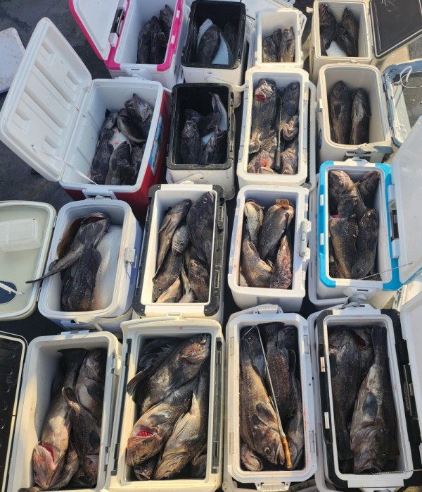 8a04af9542fdd826a282414bd905c883_1763265