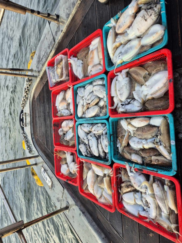 8a04af9542fdd826a282414bd905c883_1763490