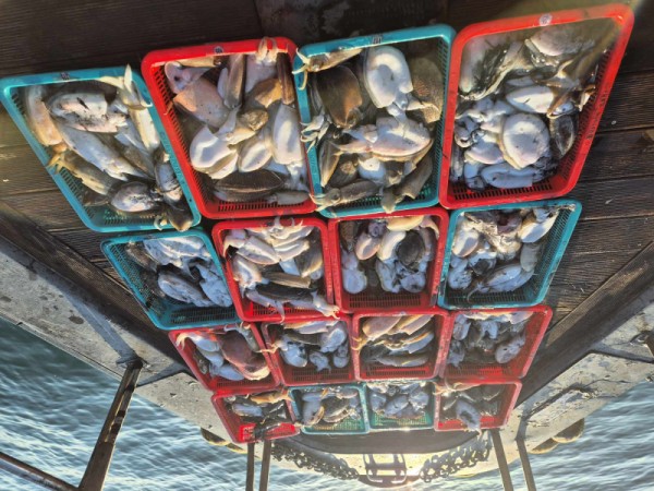 f98a5ea8096fb6c37cf3dd50834d88bd_1762222