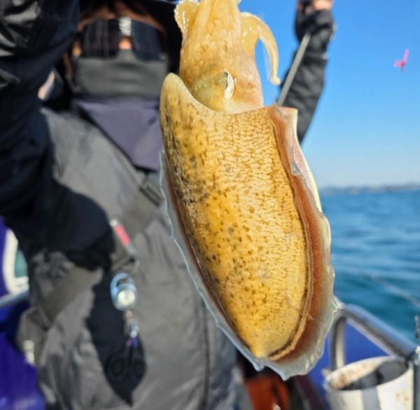 f98a5ea8096fb6c37cf3dd50834d88bd_1762222