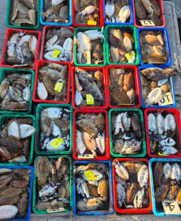 f98a5ea8096fb6c37cf3dd50834d88bd_1762222