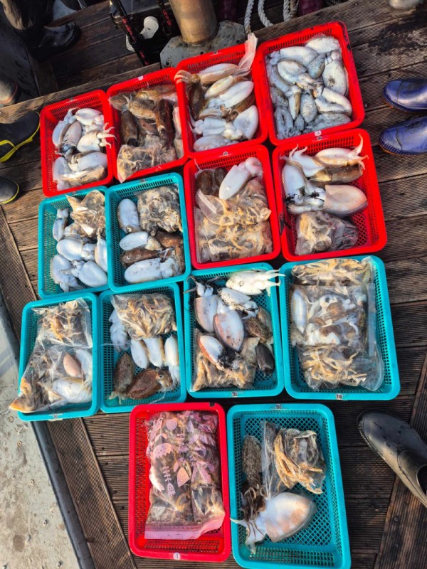 f98a5ea8096fb6c37cf3dd50834d88bd_1762678