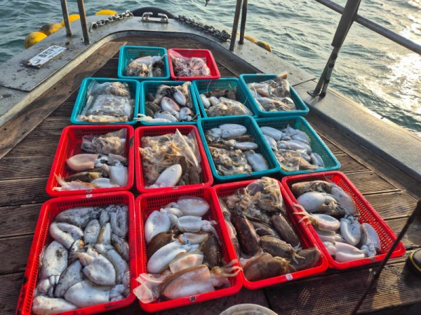 f98a5ea8096fb6c37cf3dd50834d88bd_1762678