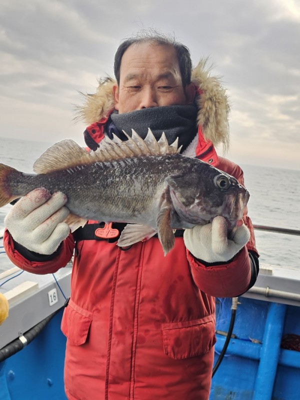 0166d0b6b141c0bb2eb0766c06f3a329_1772301