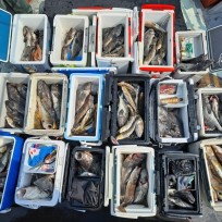 3월 14일 어복호 우럭 조황