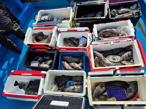 bdad9d970620a0cfa8d3847e96212be3_1774687