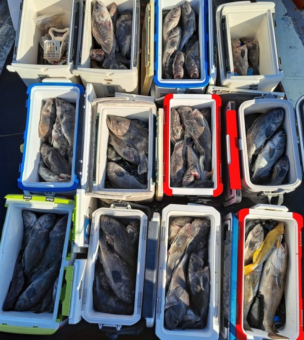 711c7305ed0f74ac8f07d06730d35cbe_1776014